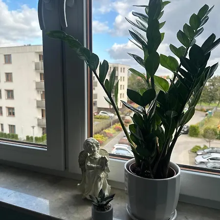 Urban Wrzesnia,przytulny Z Parkingiem Apartamento